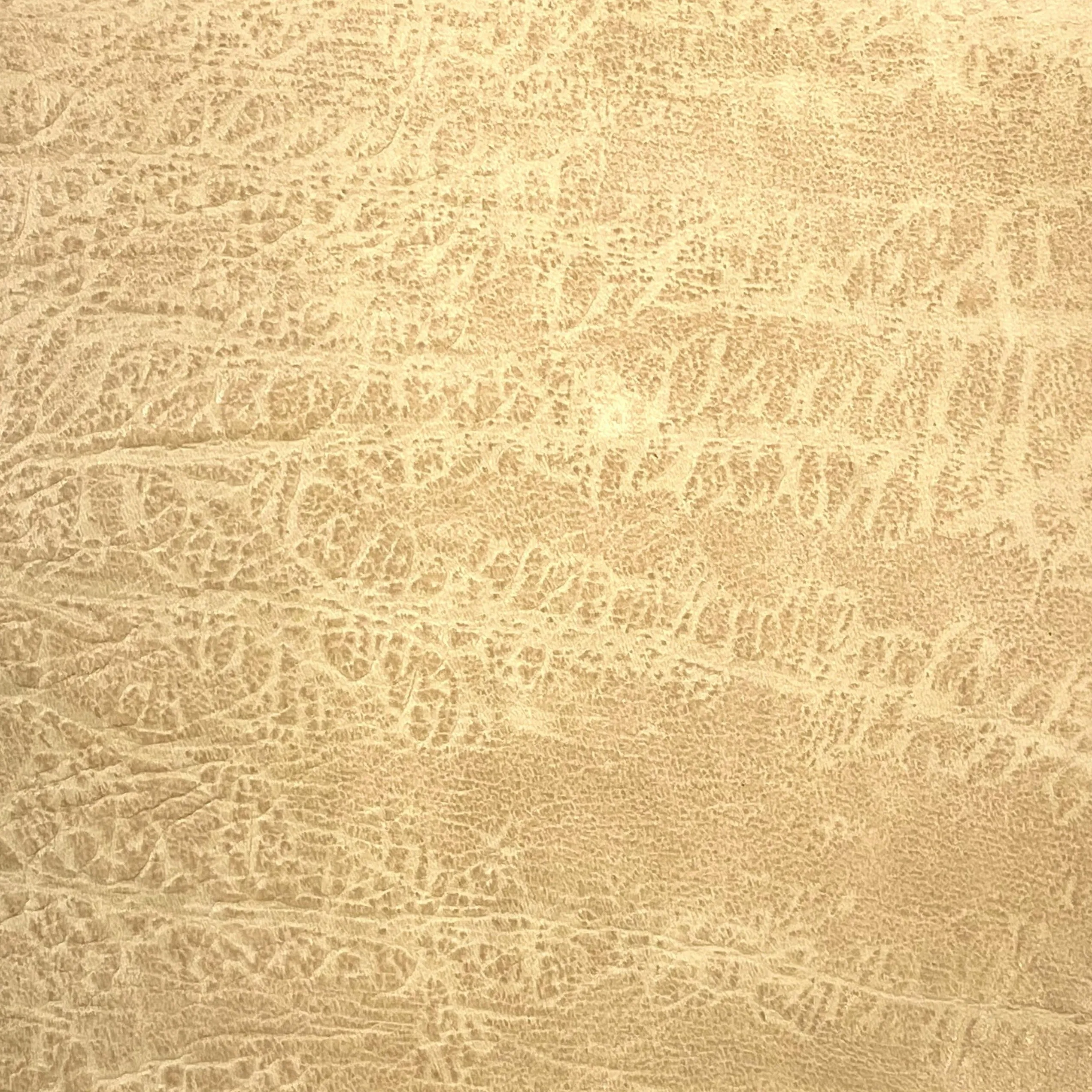 2oz (1.1mm) Desert Sandstone Embossed Cow Leather (per square foot)