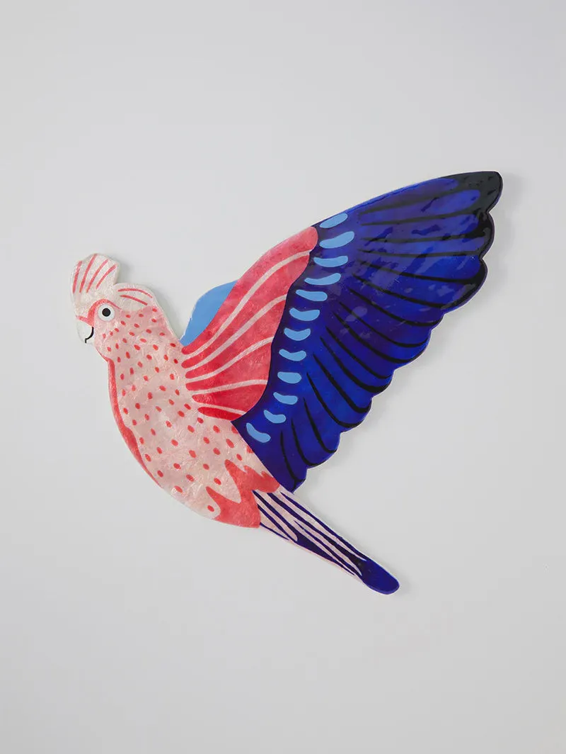 Aerial Galah Wall Art