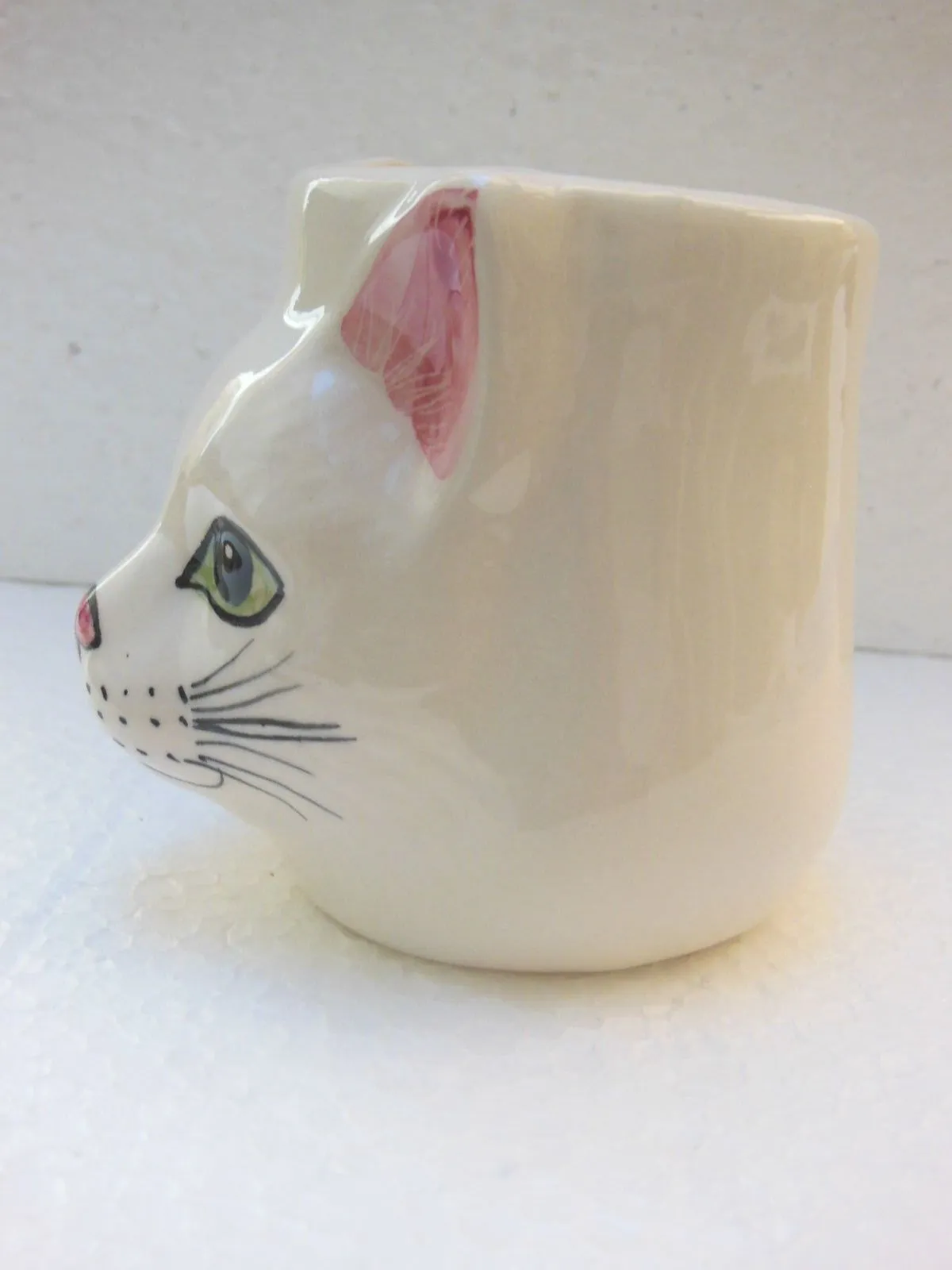 Babbacombe Pottery Drinking Mug with White Cat Face