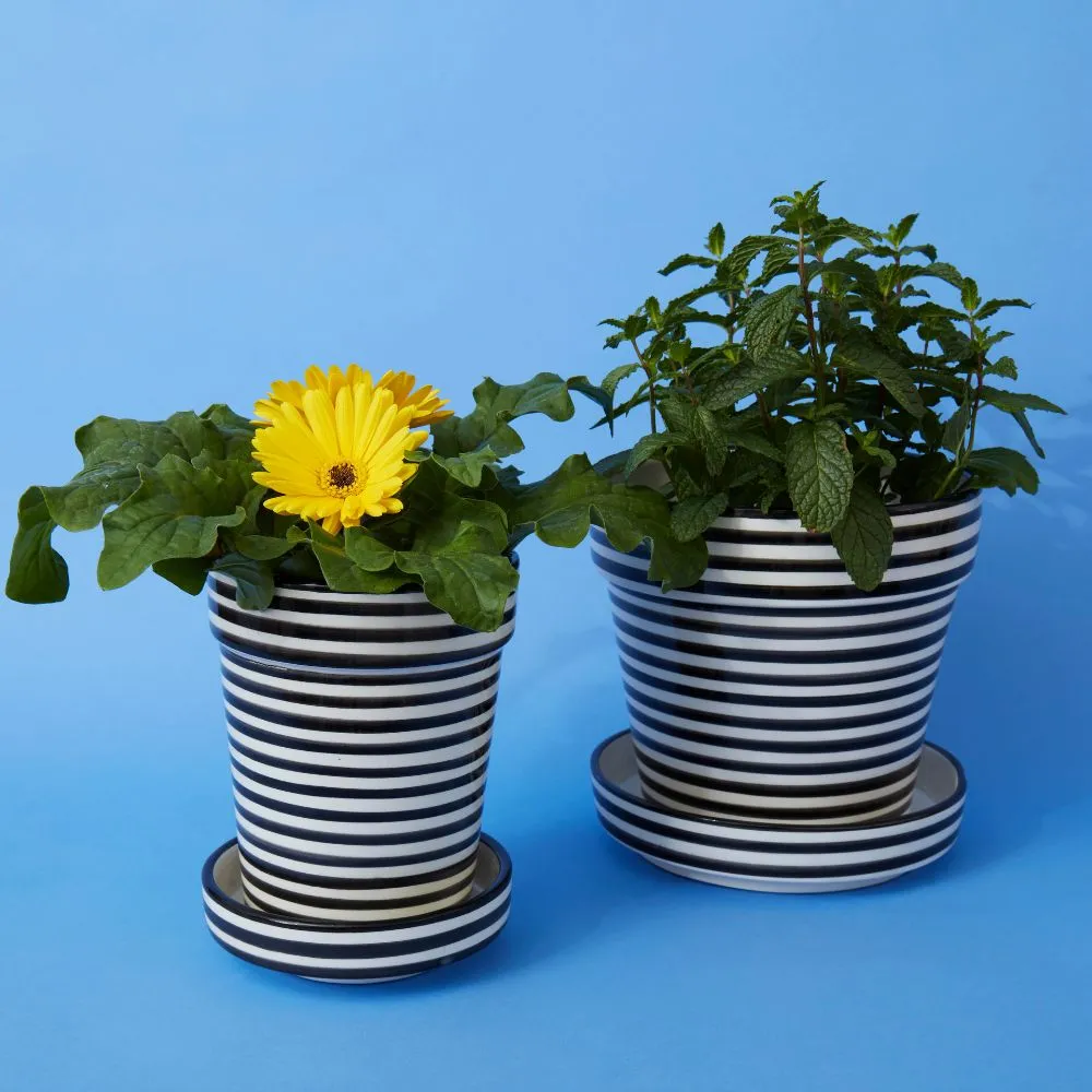 Black Striped Ceramic Large Planter