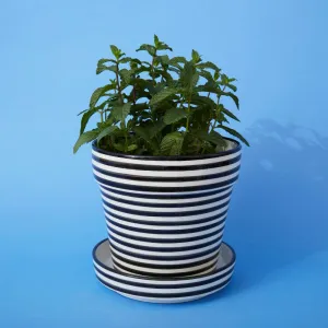 Black Striped Ceramic Large Planter