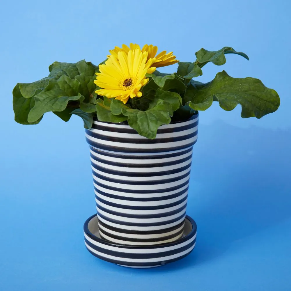 Black Striped Ceramic Small Planter