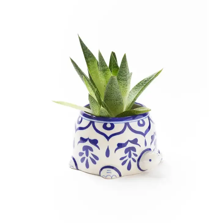 Lalita Indigo Succulent Planter - Mama Turtle