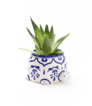 Lalita Mama Turtle Succulent Planter