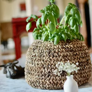 Radha Boulder Storage Basket and Planter