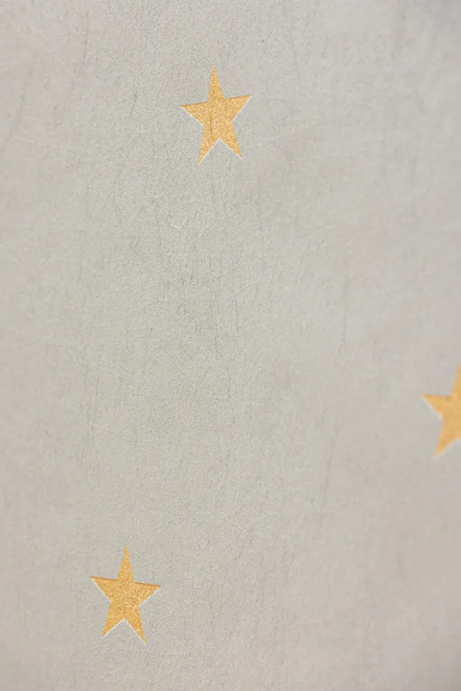 Rockett St George Falling Stars Cream Mural