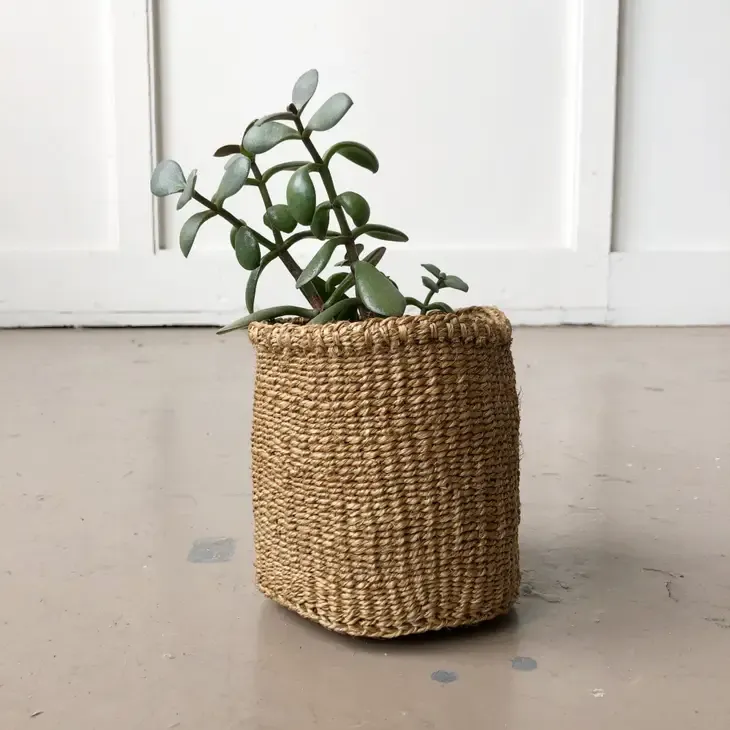 S Planter Basket