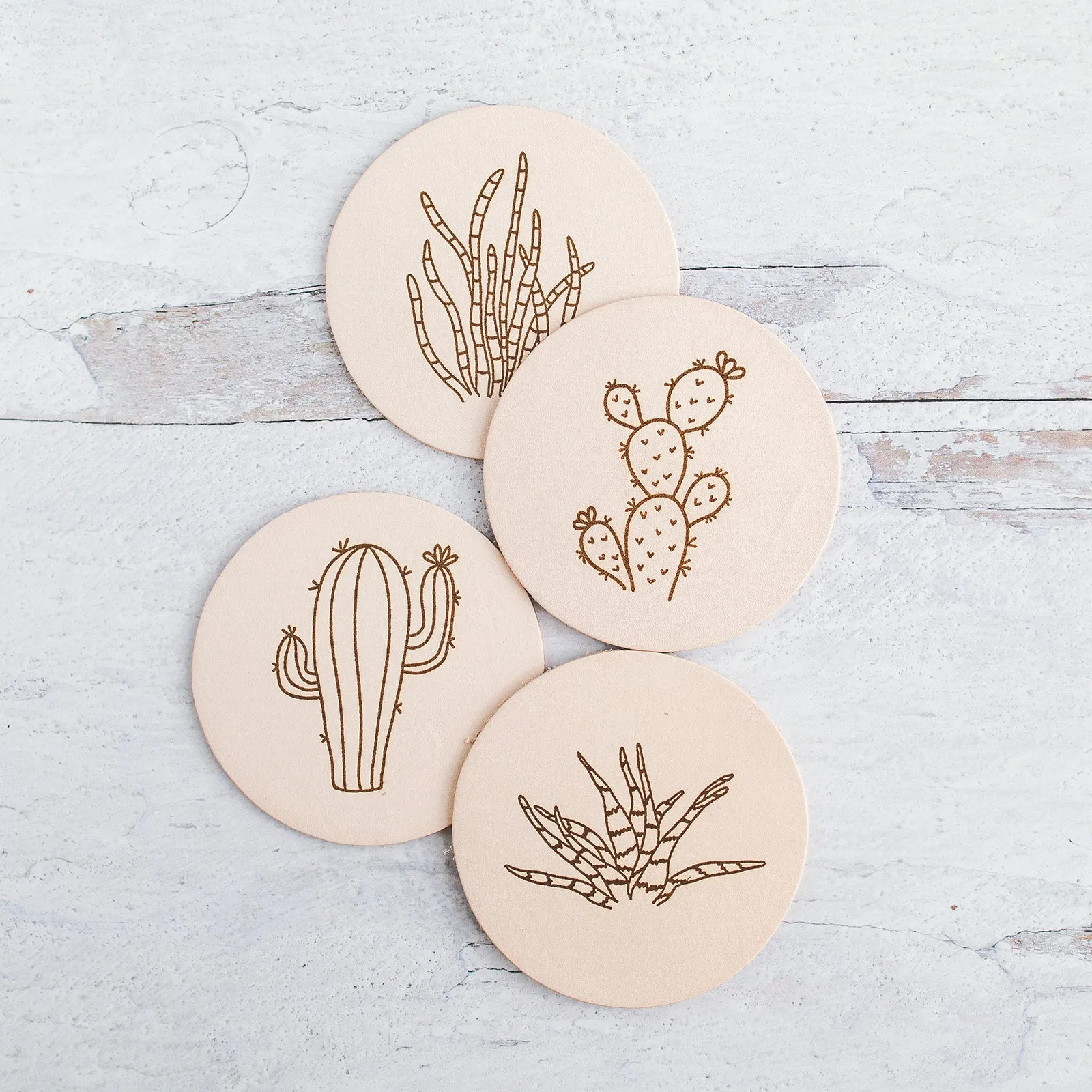 Succulent Round Leather Coaster Set