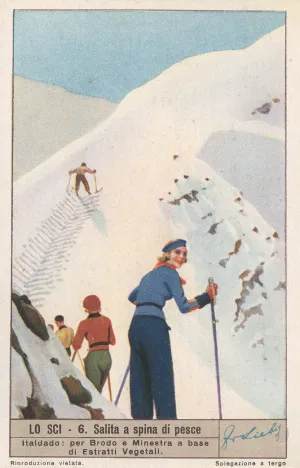 Vintage Skiing Poster - Salita a spina di pesce